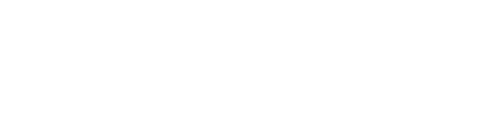 Con Sentido Consulting